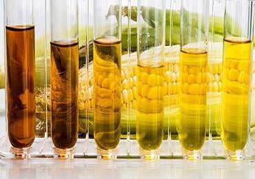 Waste to gold! New bio-yeast that "feeds on biomass sugar"